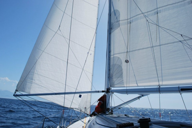  Vela Trino 